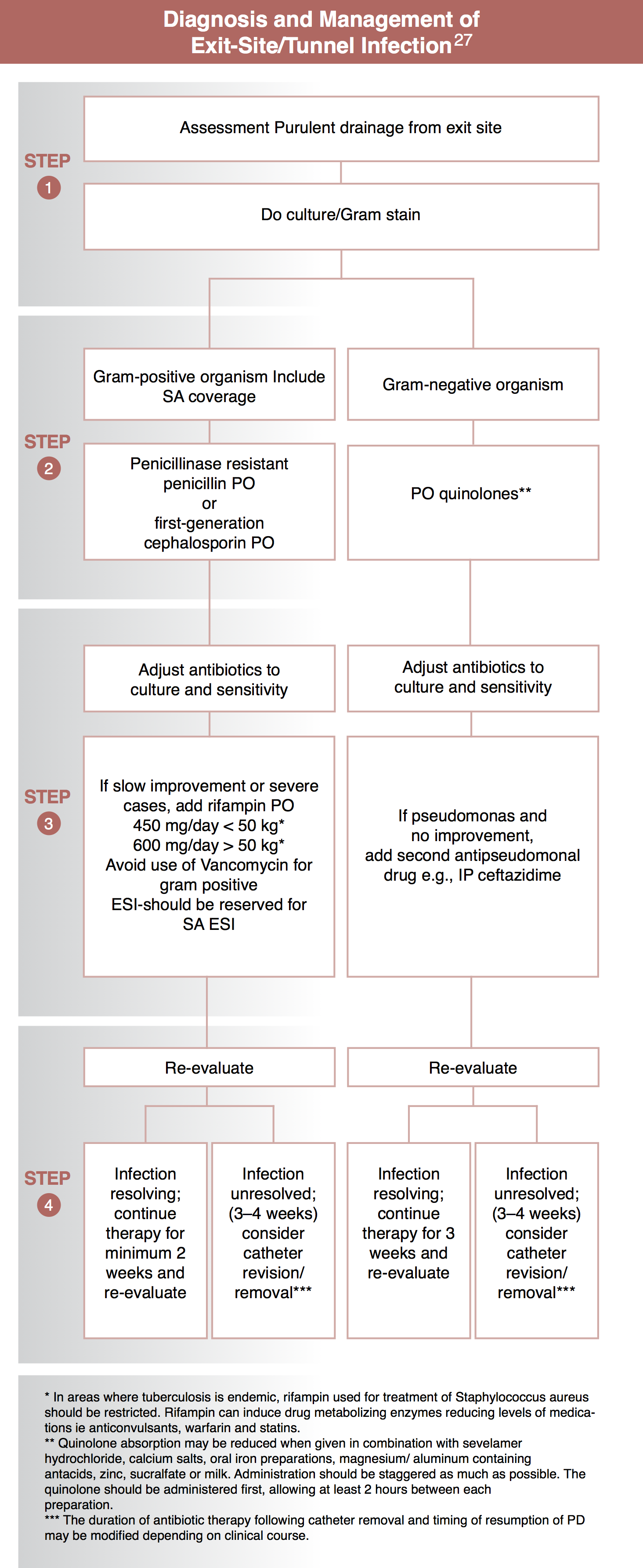 statins dose levels